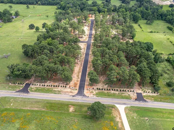 12034 Pinecrest Dr, Flint, TX 75762