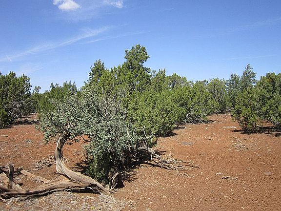 4th image of 0 Hohokam Dr