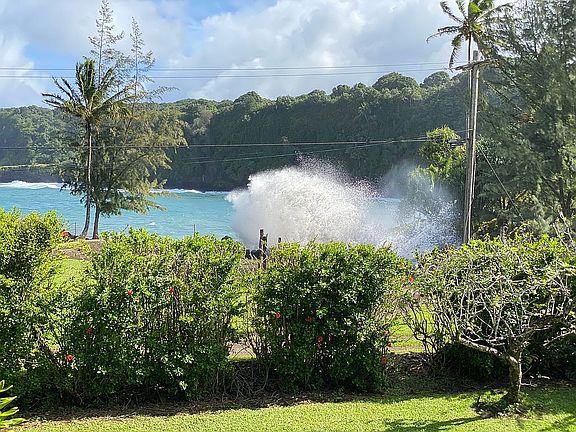 Behold the Blowhole! 