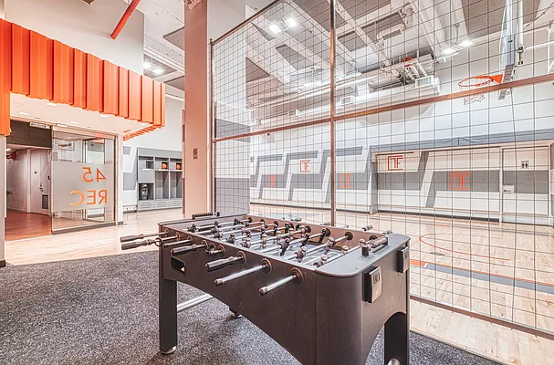 Rented by Platinum Properties | media 16