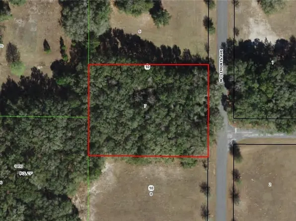 3002 N Clements Ave, Hernando, FL 34442