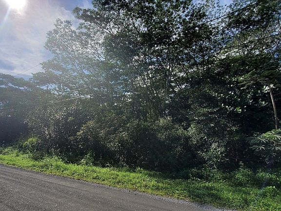5th image of 8th Avenue Kahili Lot 1018