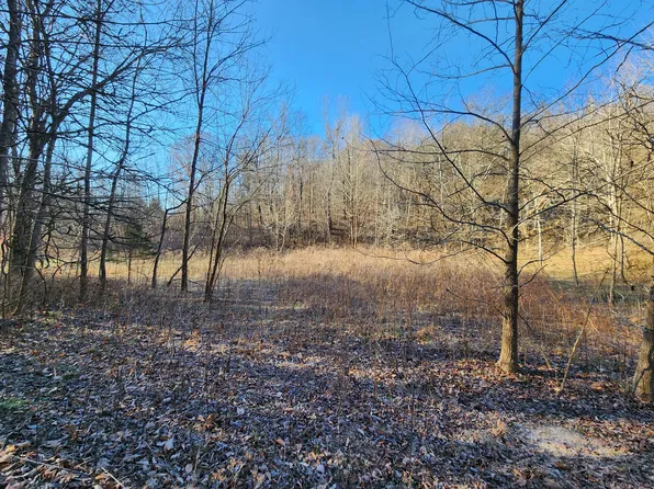 5474 Tinin Rd, Clifton, TN 38425