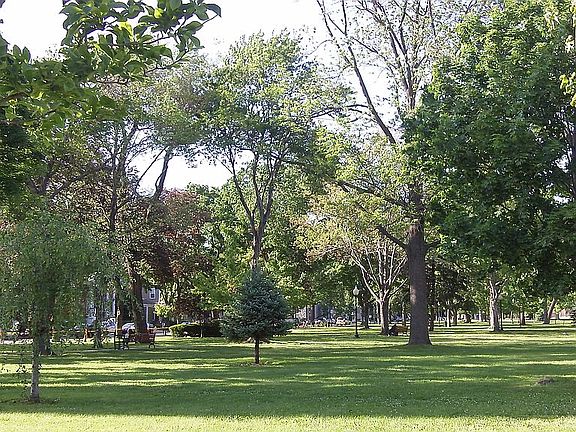 Summer Concerts in the Park