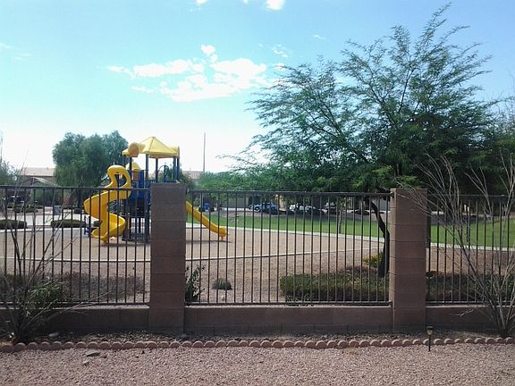 Back yard