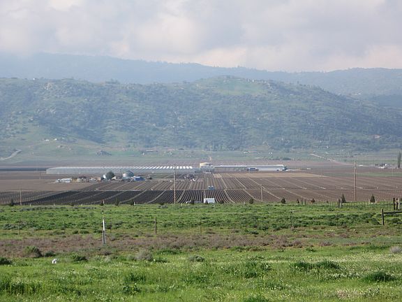 Pasture