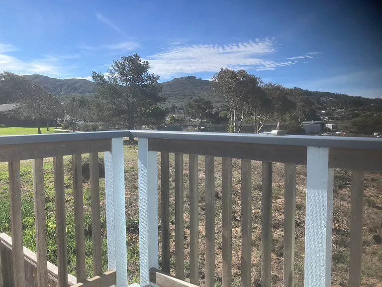 2025 Bush Dr — Photo 14