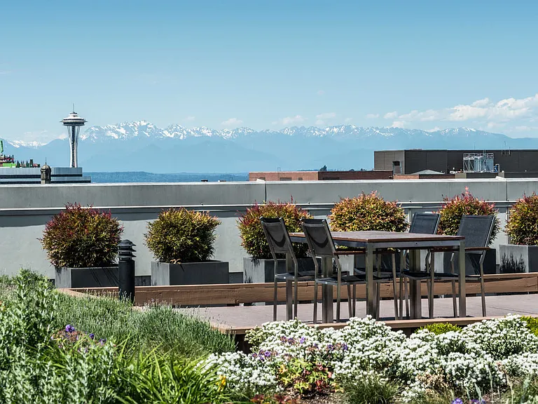 Rooftop Deck with Views of the City