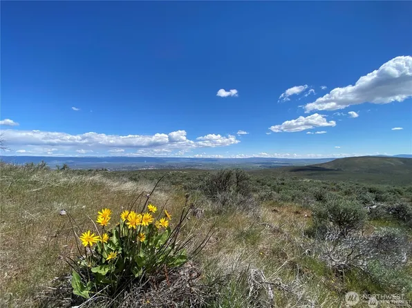 4 Long Tom Canyon Road, Ellensburg, WA 98926