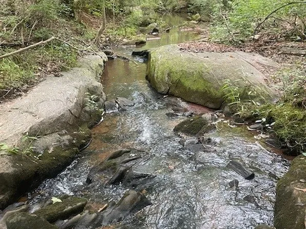 2200 Booger Hollow Rd, Dadeville, AL 36853