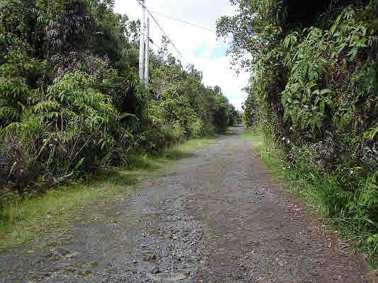 2nd image of LOT 45th