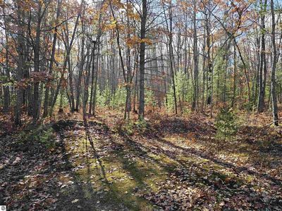 10372 Black Bear Rd NE, Kalkaska, MI, 49646