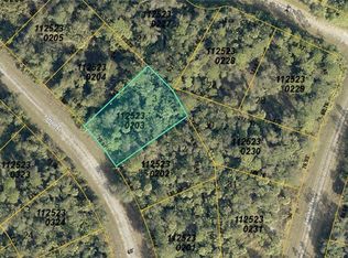 1125-23-0203 Fafton St, North Pt, FL 34286