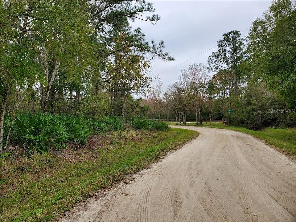 2nd image of Maple Dr