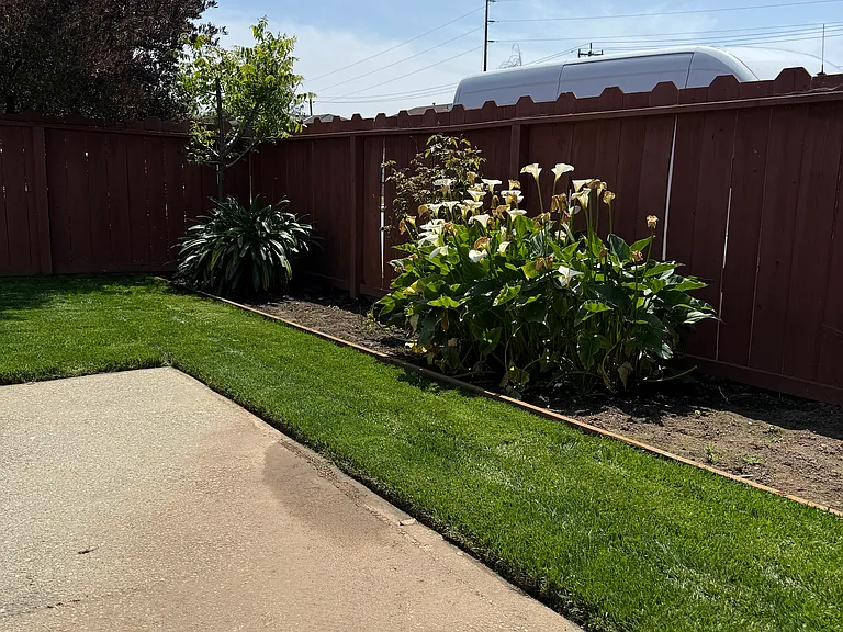 510 Birch Ave — Photo 26