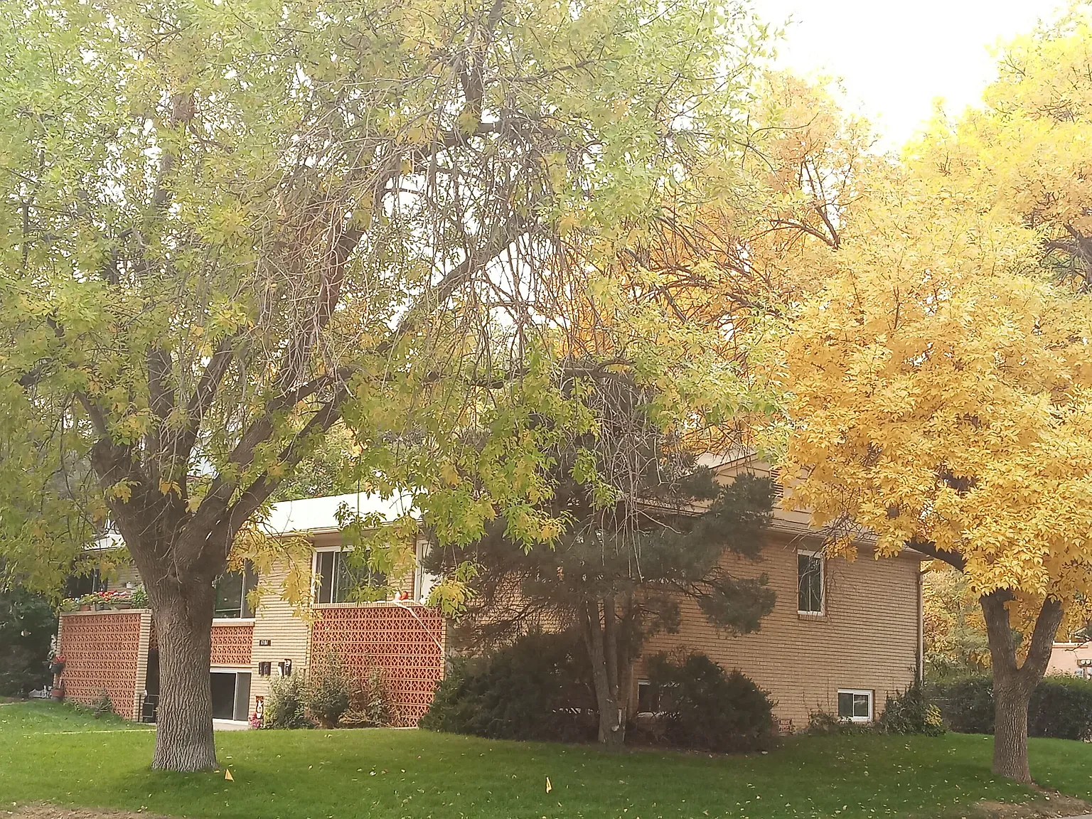 1101 Alford St — Photo 2
