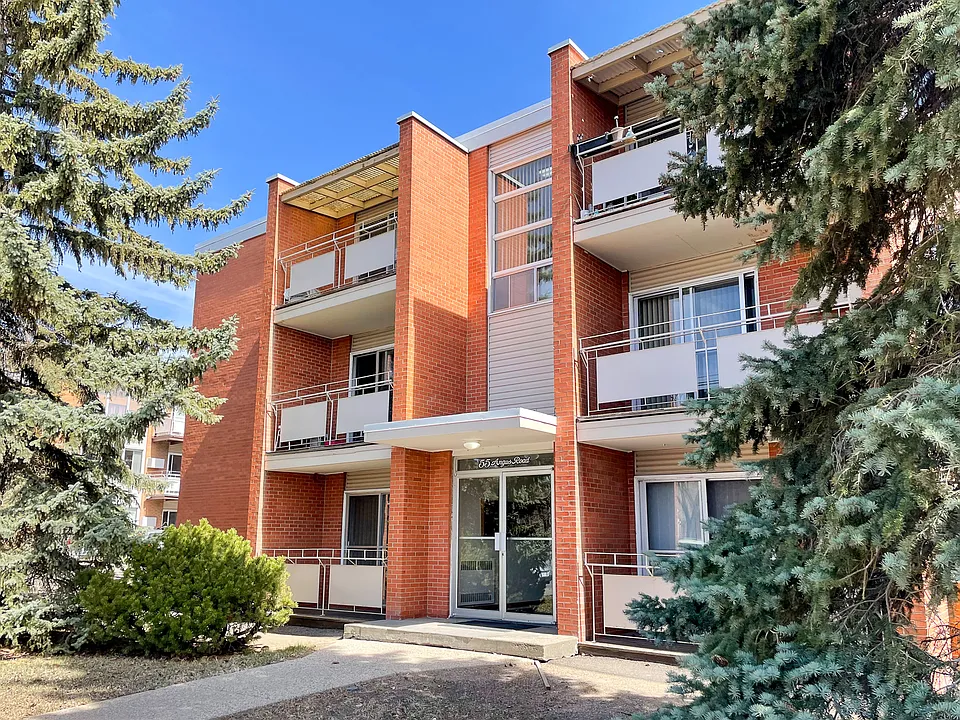 55 Angus Rd