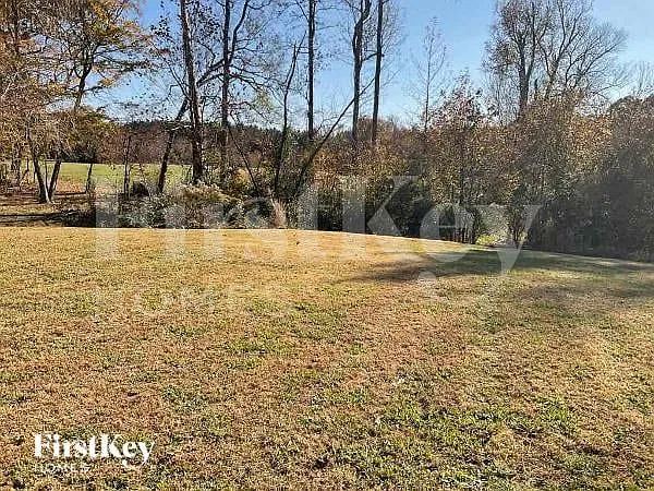 1410 Phifer Luther Ct — Photo 11
