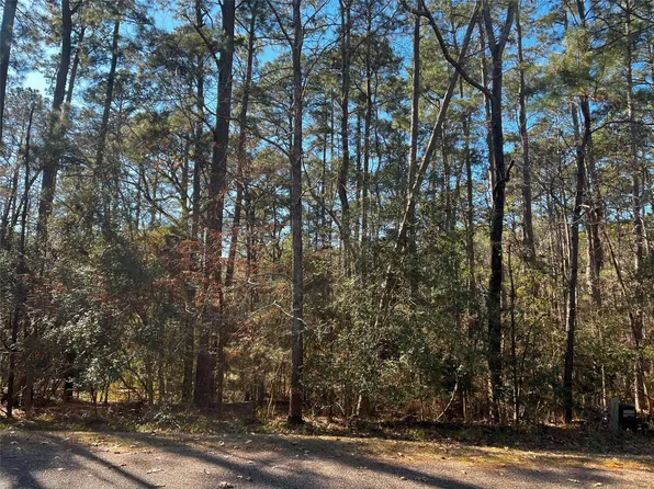 61 Sunny Hill Dr Lot 50, Coldspring, TX 77331