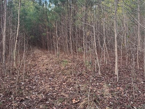 5th image of 0 N Courthouse Rd