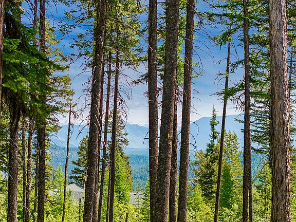 2nd image of 205 Ridge Run Ct