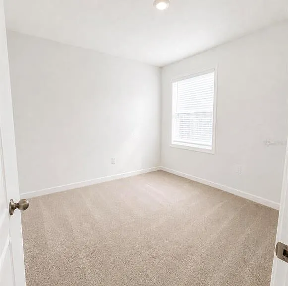 4229 Evernia Rd — Photo 9