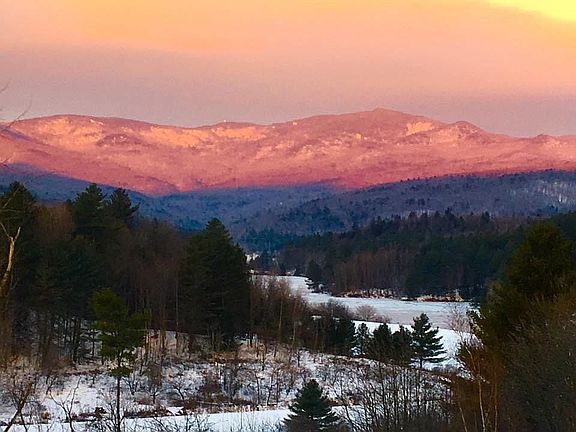 View from livingroom window