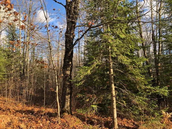 LOT 44 Alpine Dr, Upson, WI 54565
