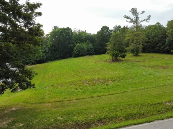 LOT 2 Greystone Rd, Afton, TN 37616