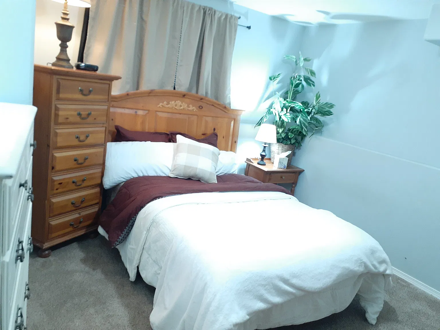 1 bed, 800 sqft, $1,400 — Photo 2