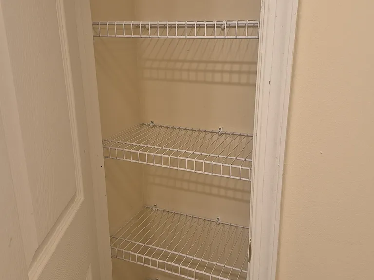 Hall bathroom with linen closet