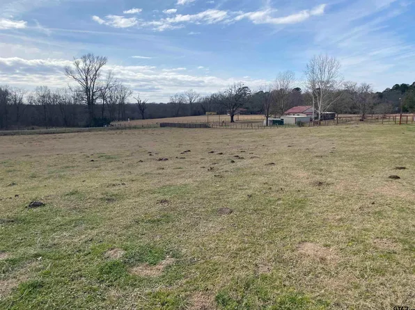22479 Old Tyler Hwy, Troup, TX 75789