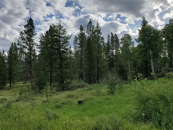 2nd image of 34046 Whiffle Tree Trail