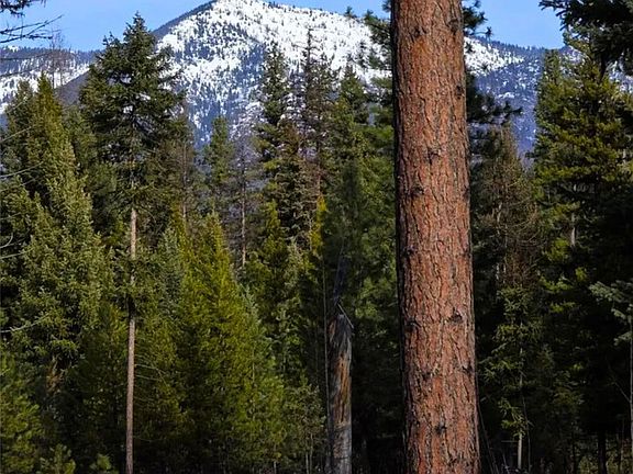 4th image of Nhn Hollopeter Rd