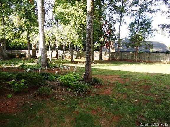 Back yard - maintained by HOA, beautiful trails to walk, biking lane to Birkdale, picnic area with picnic tables