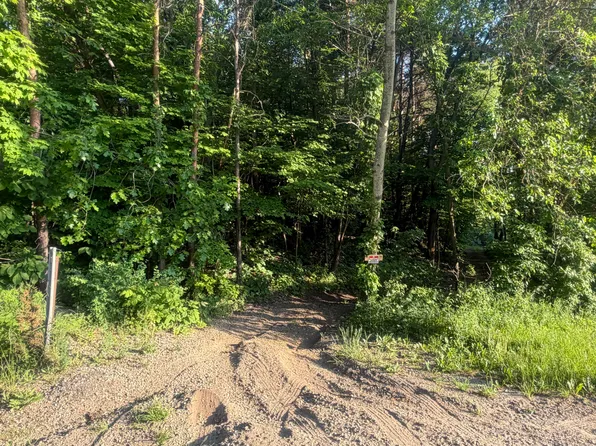 Pifer Rd, Delton, MI 49046