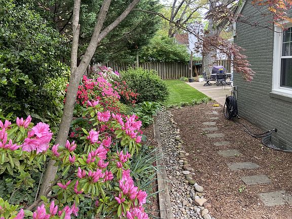 Backyard with Patio