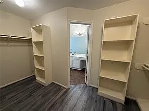 12919 Deer Cove Ln — Photo 12