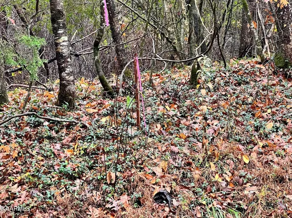 LOT-17R Rayl Hollow Rd, Decatur, TN 37322