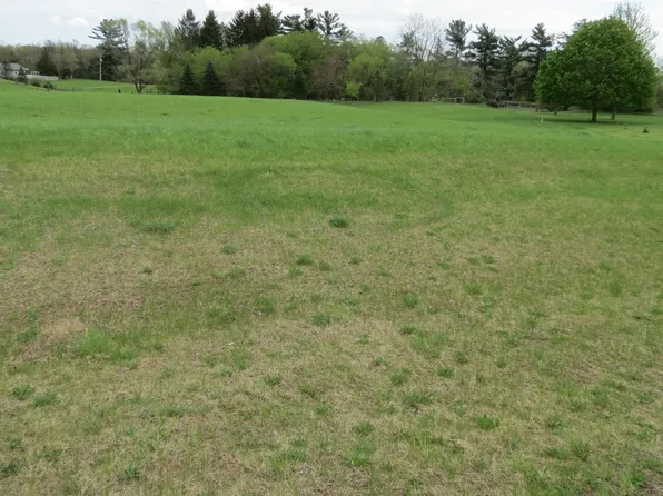 10067 Whitetail Ln, Jackson, MI 49201