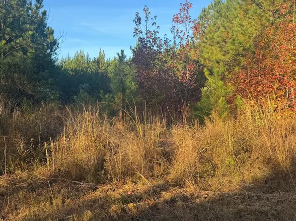 0 Pacific Rd, Monticello, GA 31064