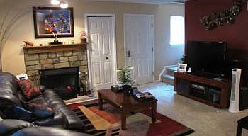 Fireplace in the living room