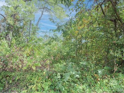 501 W 5th St, Dixon, MO, 65459