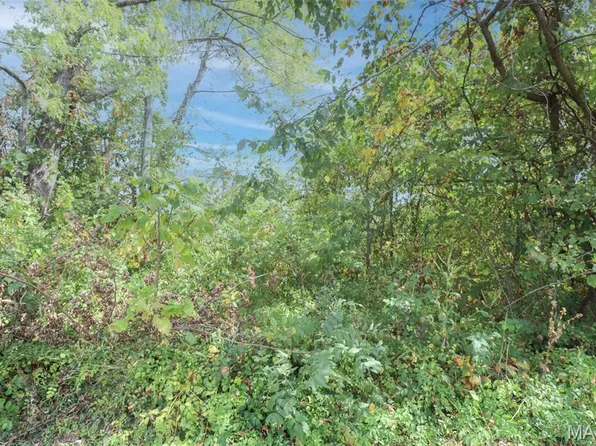 501 W 5th St, Dixon, MO 65459