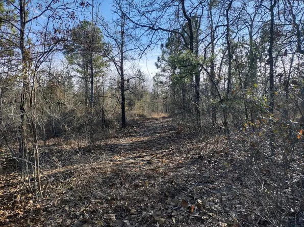 215 Bridlepath Ln, Box Springs, GA 31801