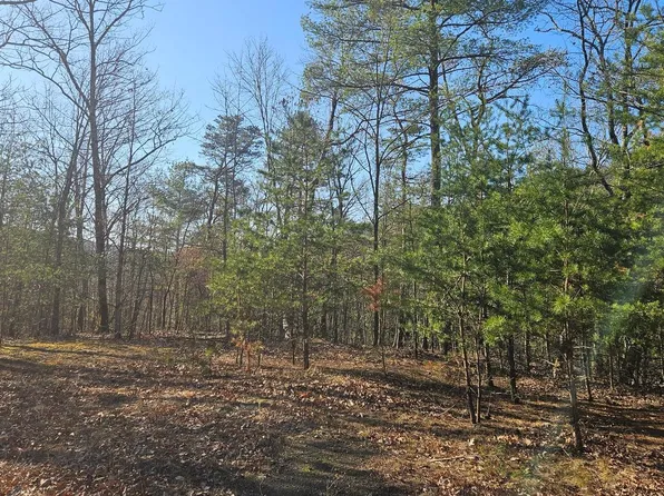 0 Tiger Valley Rd, Hyndman, PA 15545