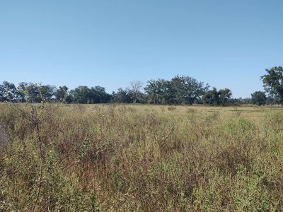 16271 161st Rd, Mc Alpin, FL, 32062