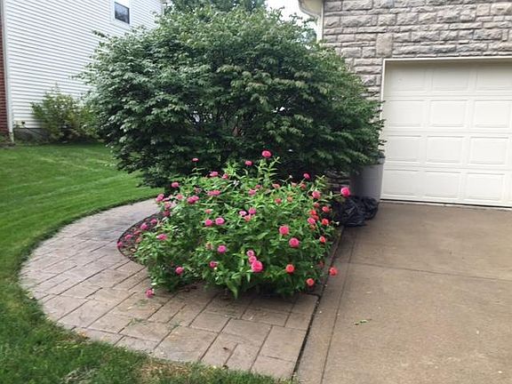 4th image of 1066 Cloverly Dr