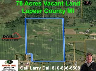 Daley Rd, Lapeer, MI 48446