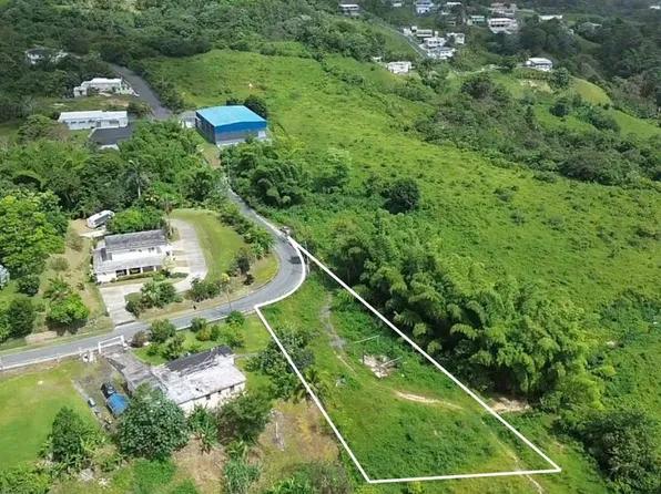 917 Street Bo Montones Km #3.4, Las Piedras, PR 00771